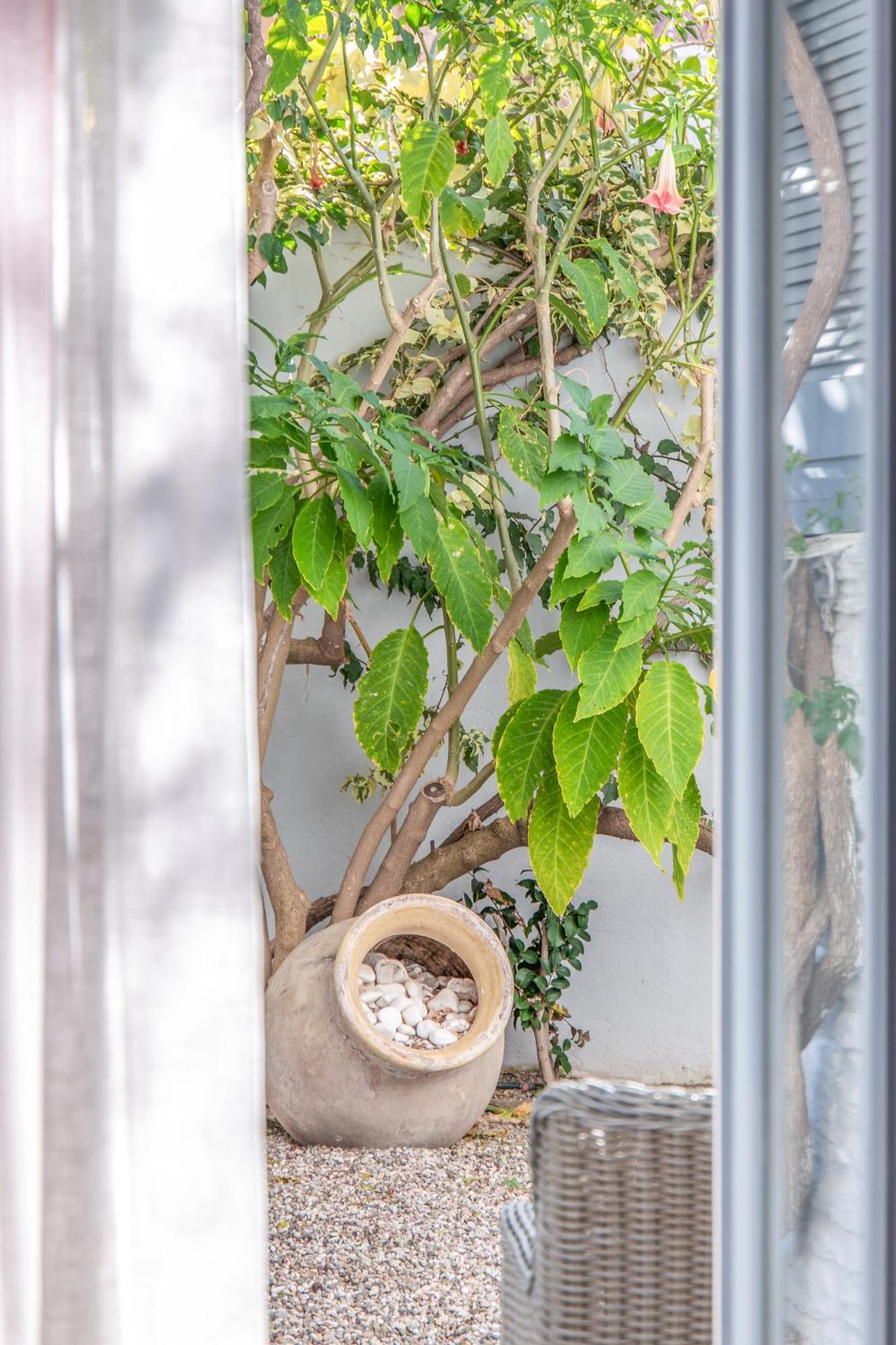 Micra Anglia Boutique Hotel & Spa Ándros Dış mekan fotoğraf