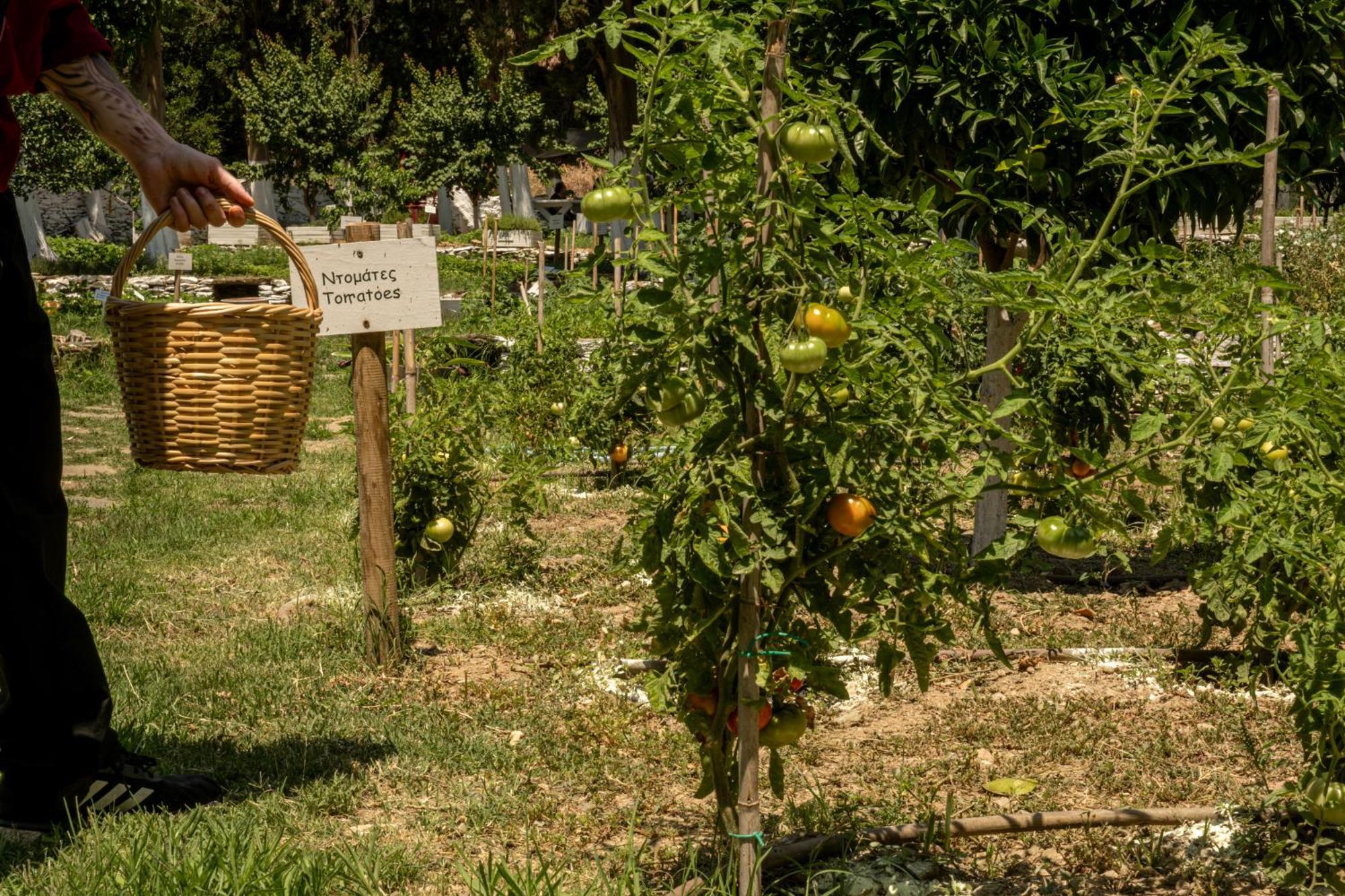 Micra Anglia Boutique Hotel & Spa Ándros Dış mekan fotoğraf