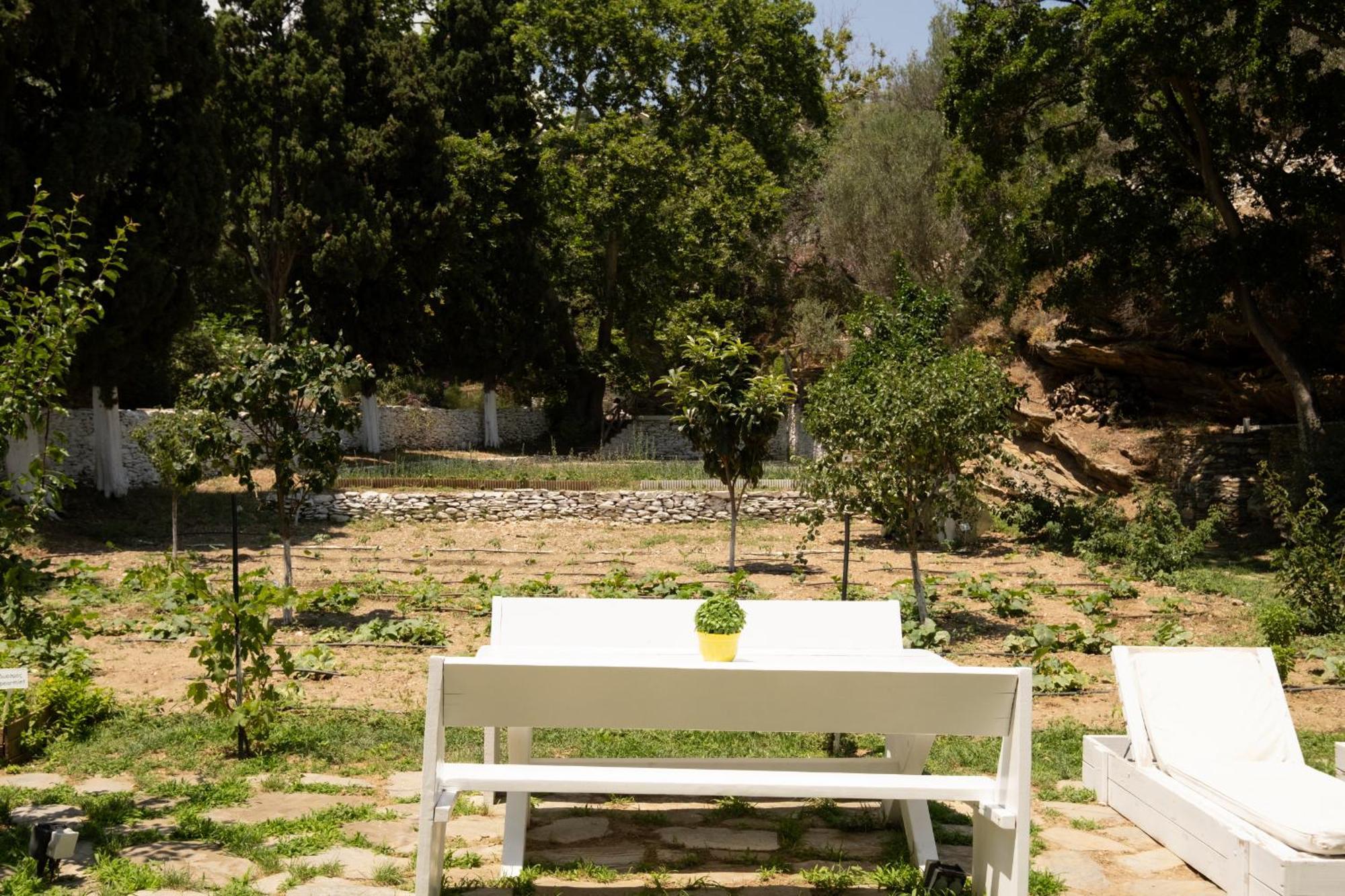 Micra Anglia Boutique Hotel & Spa Ándros Dış mekan fotoğraf
